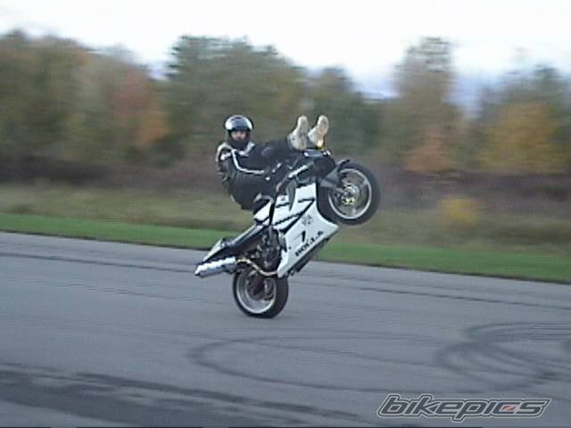 Photo 463272