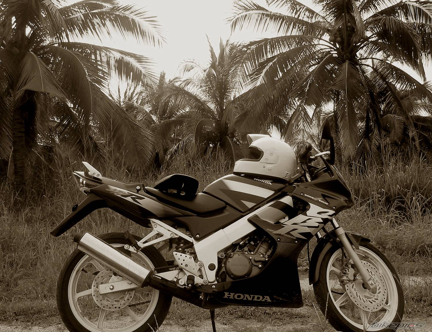 Bike Photo 463304