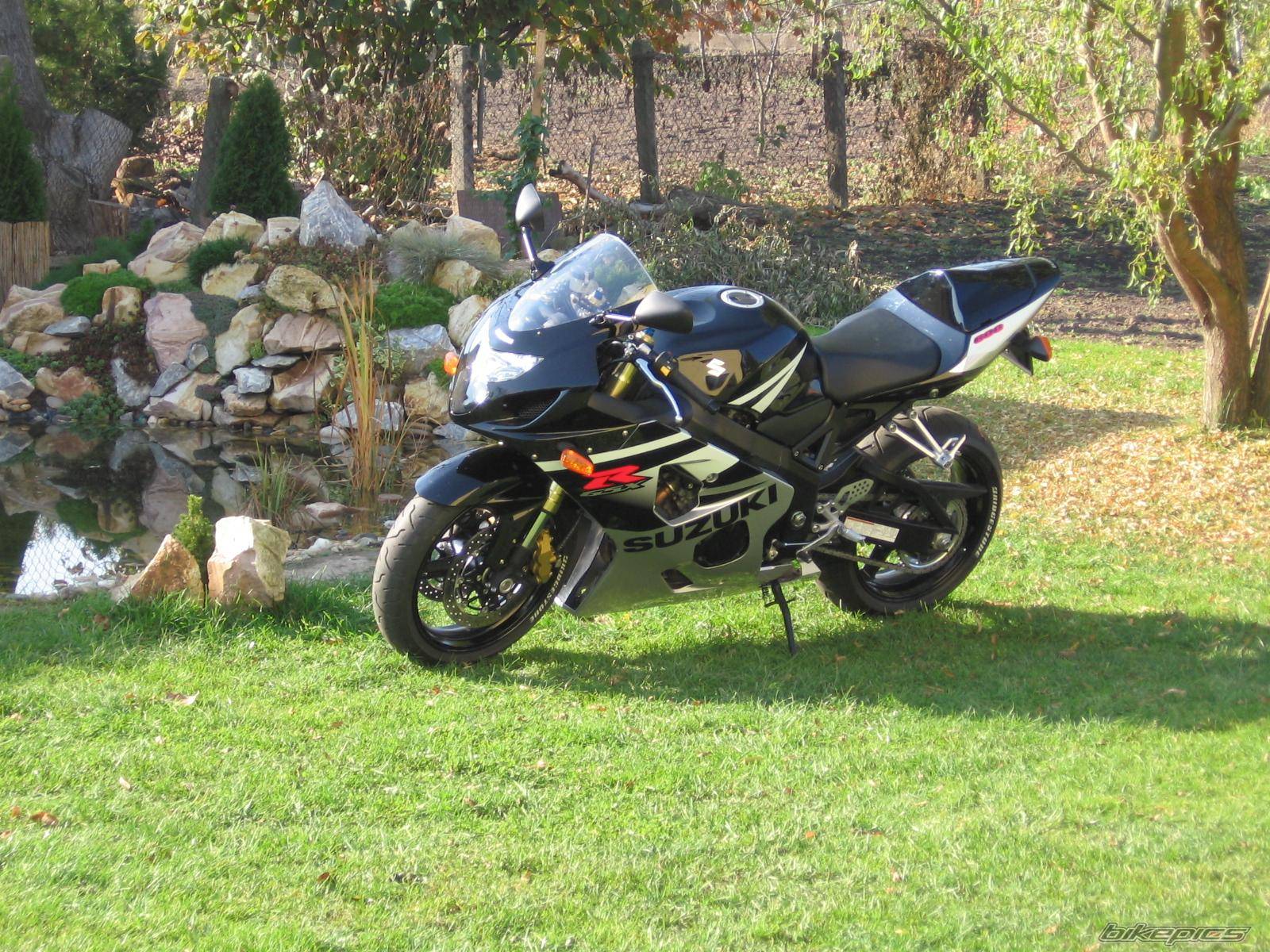 Photo 463640