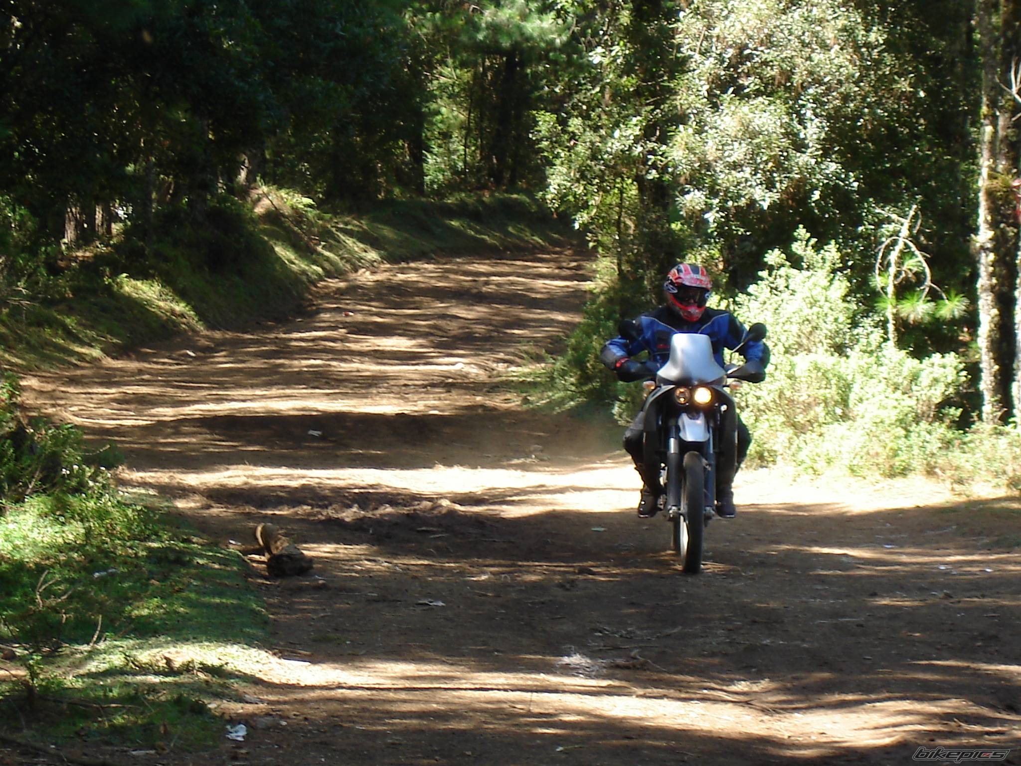 Bike Photo 463715
