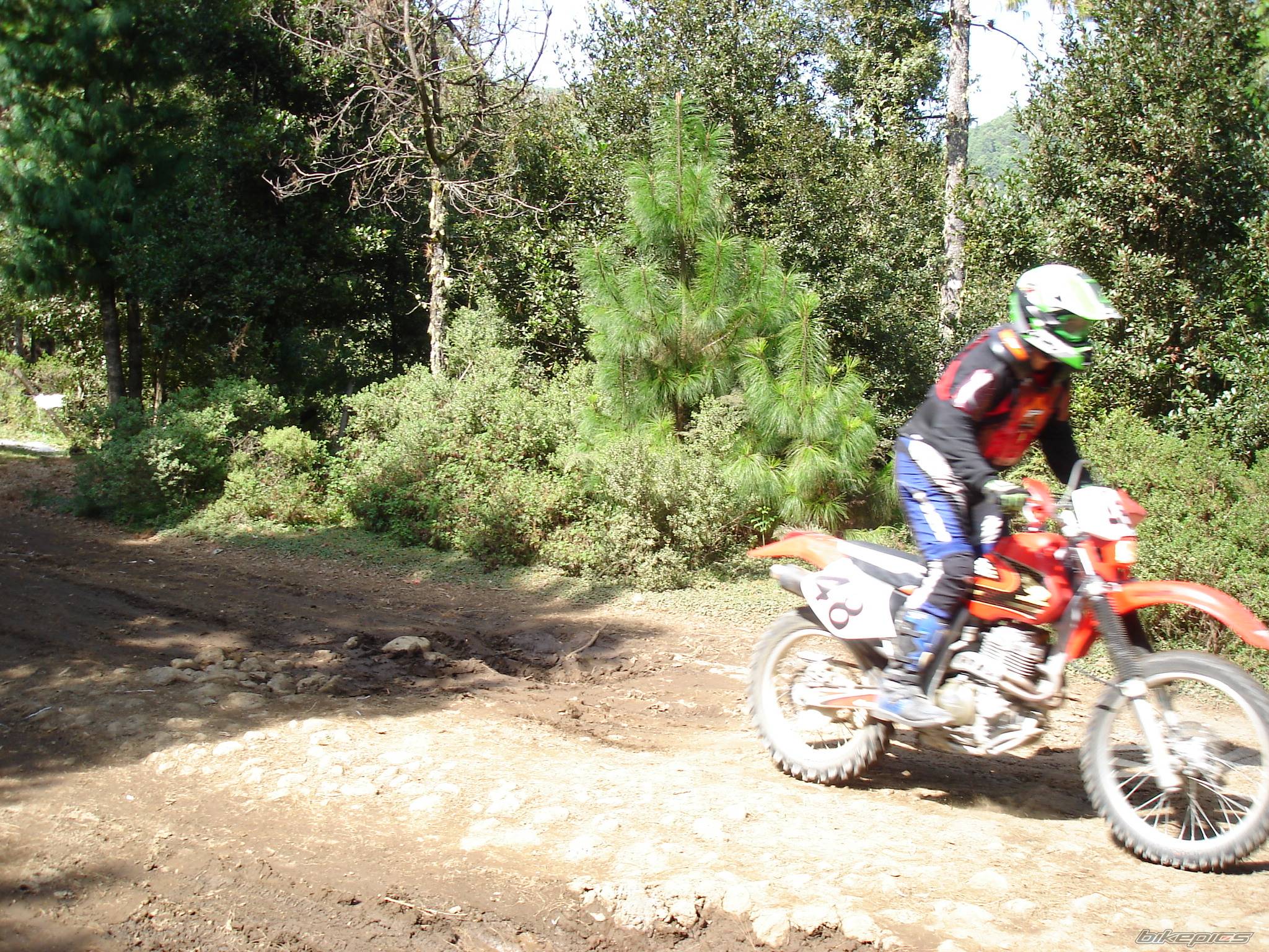Photo 463716