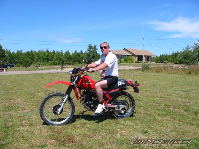 Bike Photo 46382