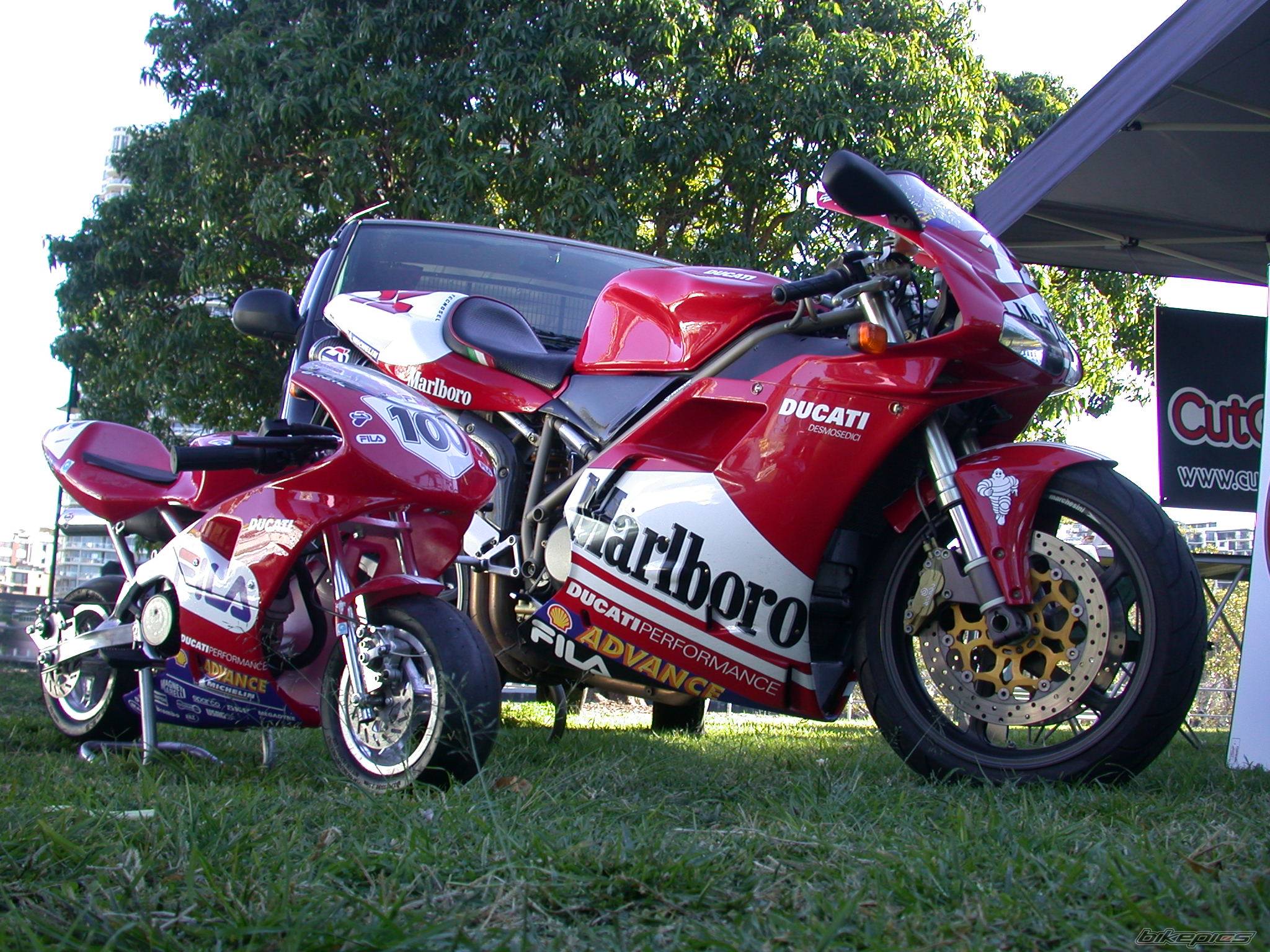 Bike Photo 463849