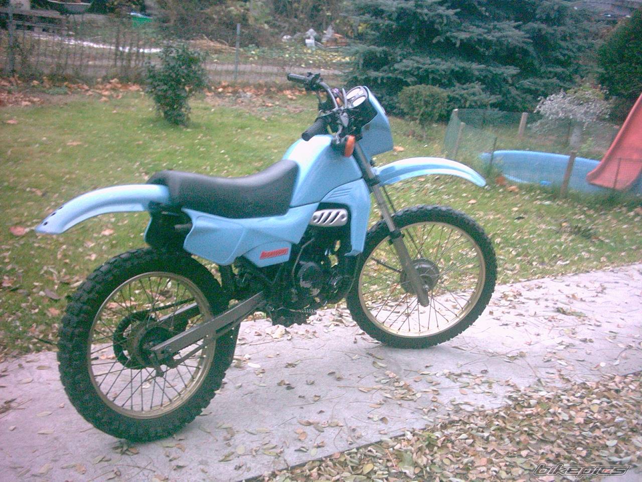 Photo 463911