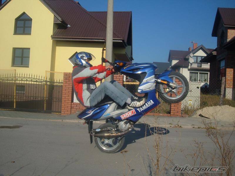 Photo 463961