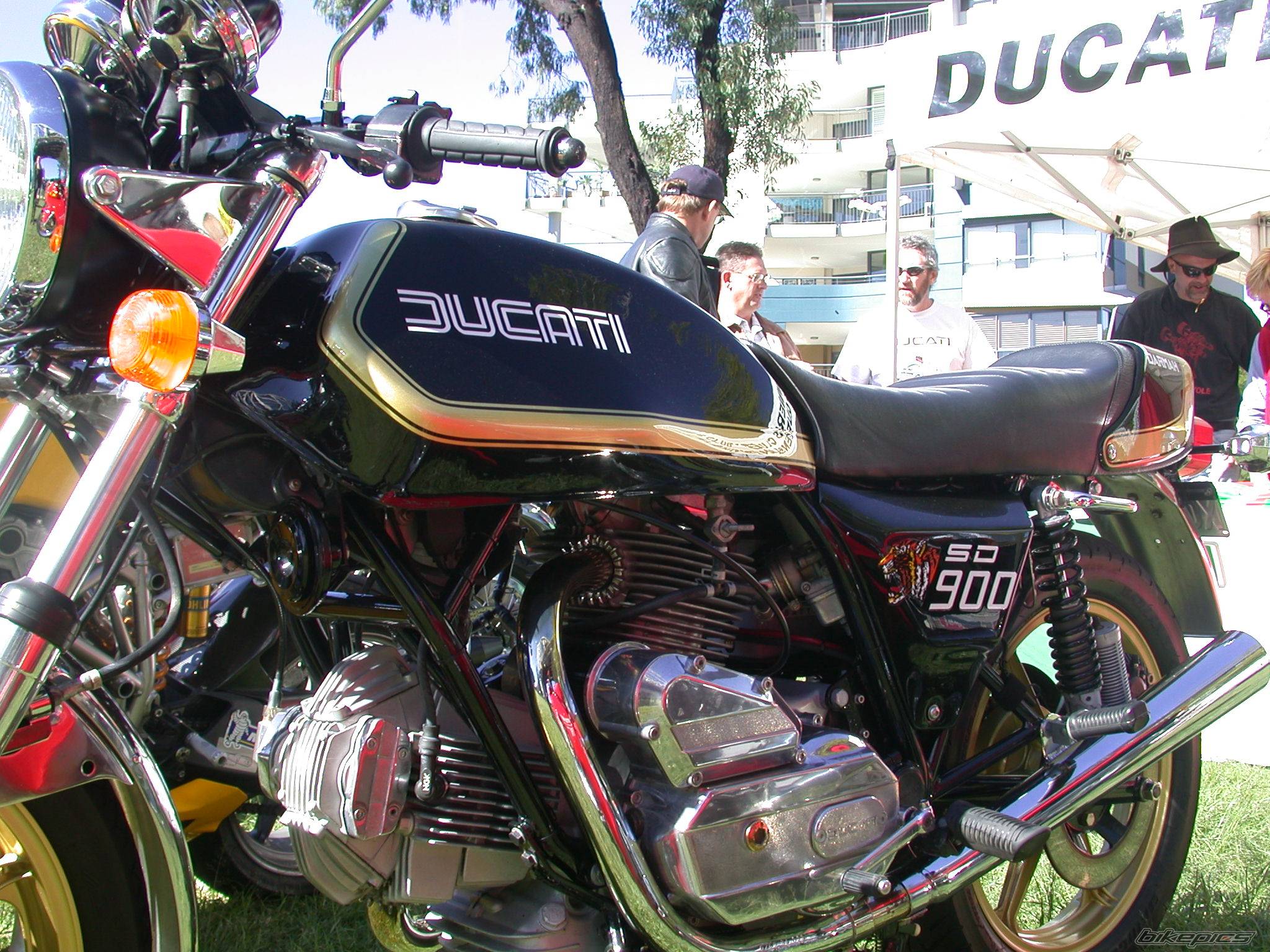 Bike Photo 464389