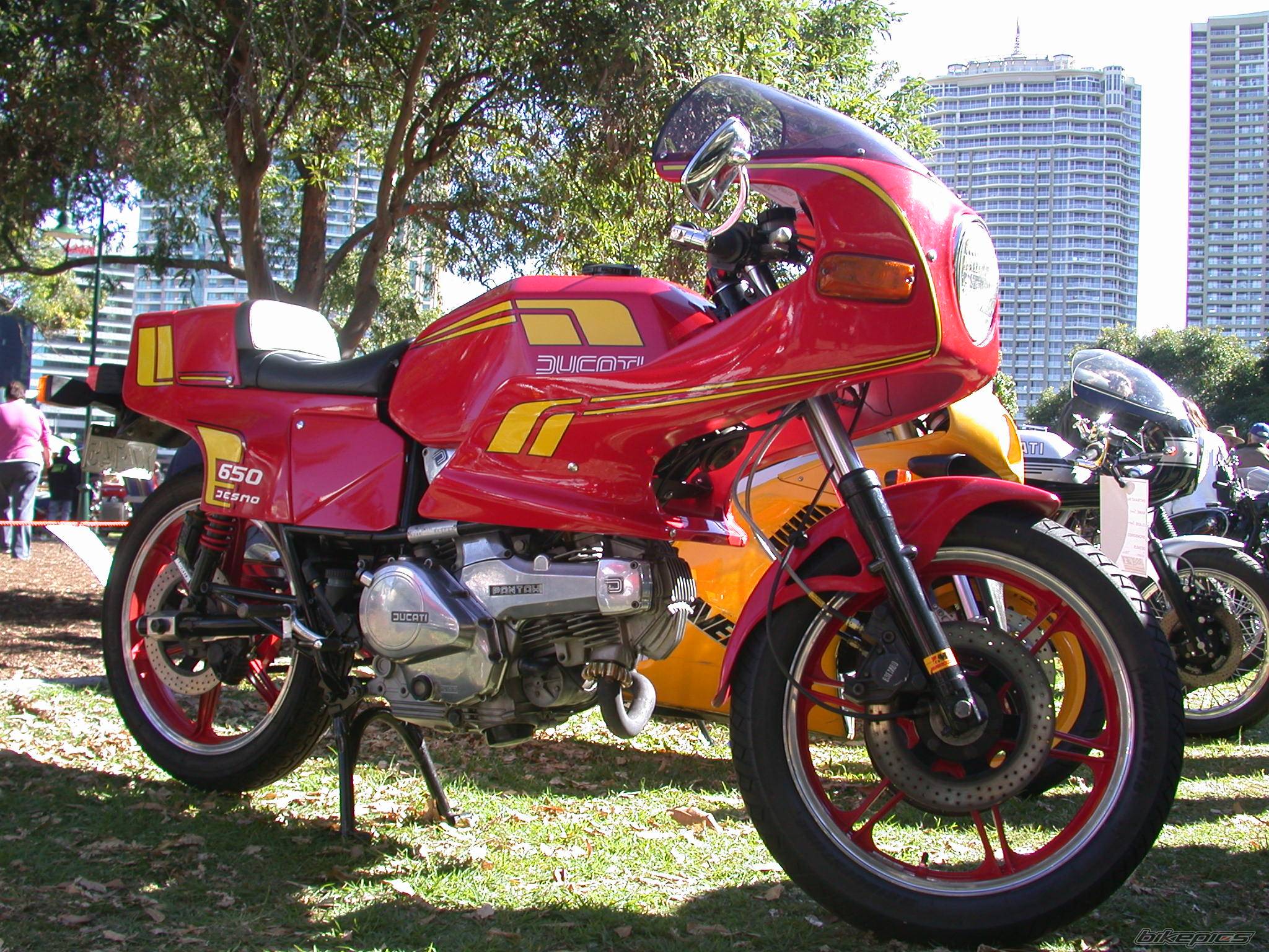 Bike Photo 464391