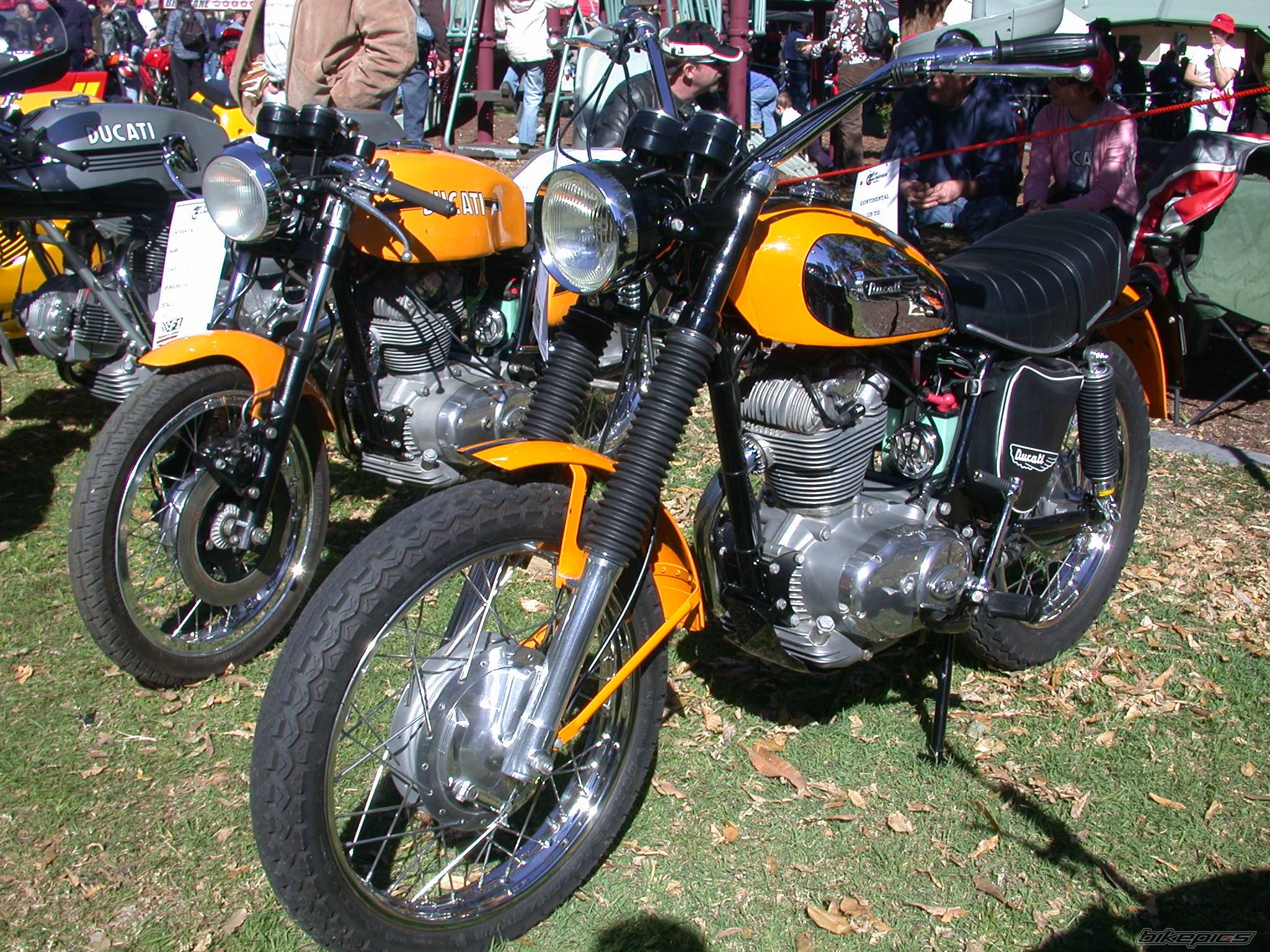 Bike Photo 464396