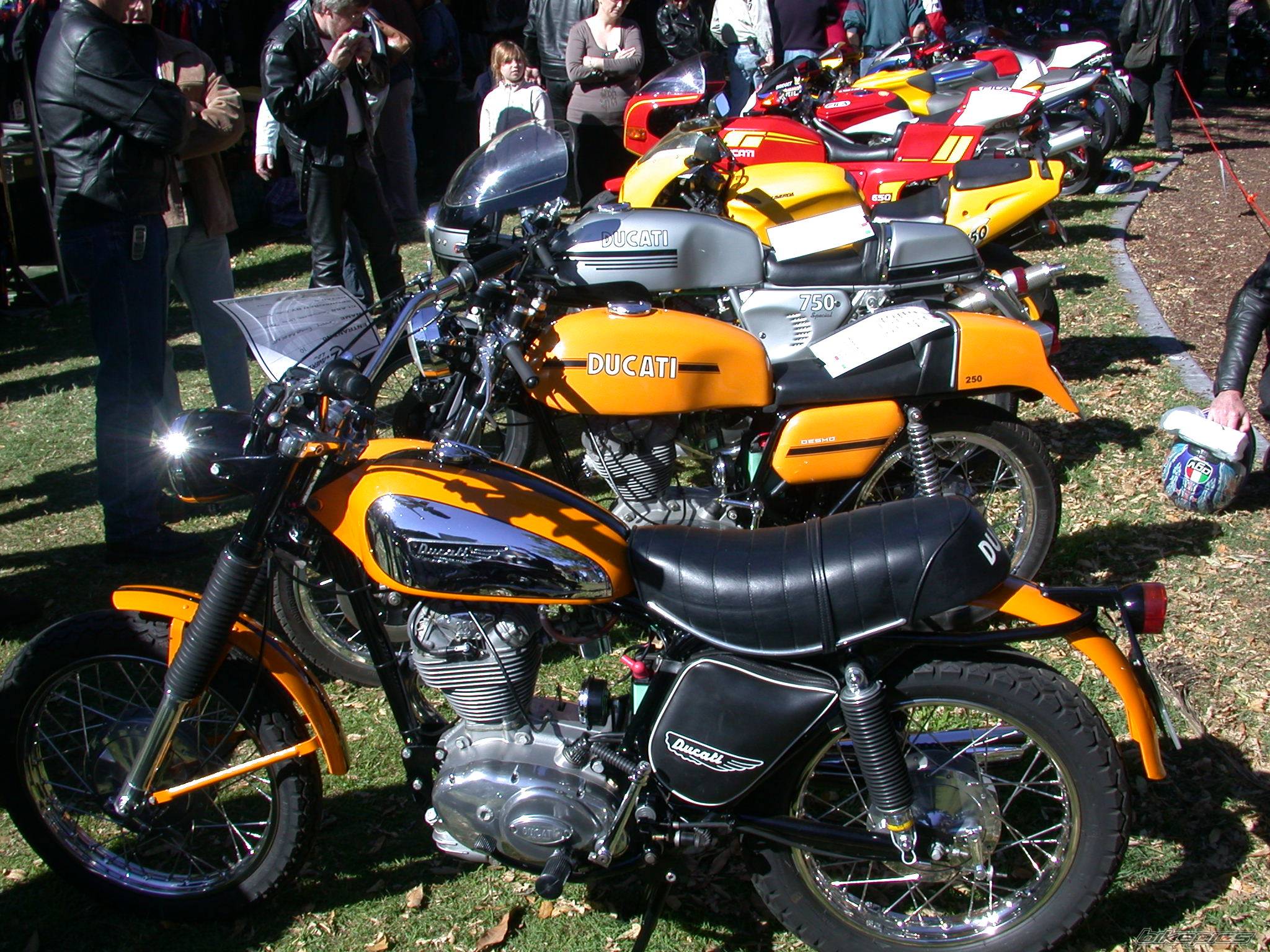 Bike Photo 464398