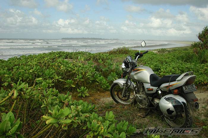 Bike Photo 464478