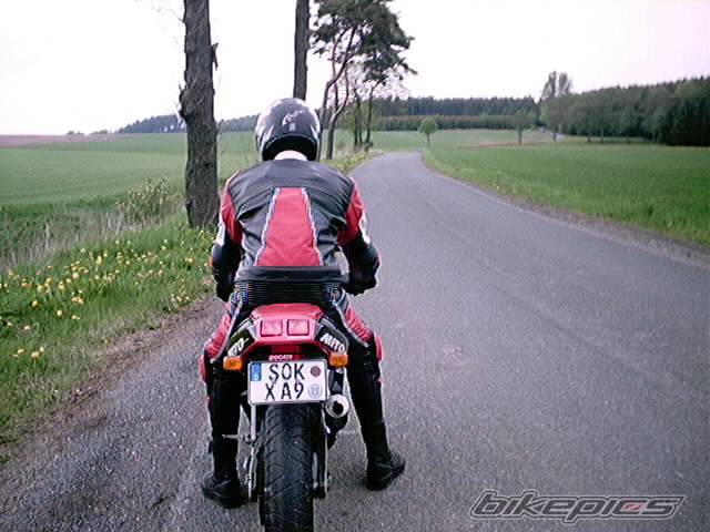 Photo 46455