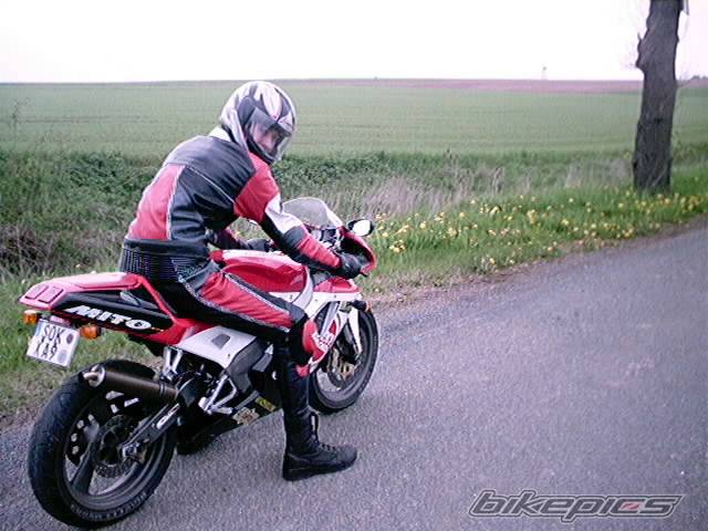 Photo 46456