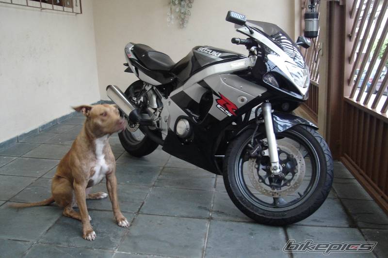 Photo 464832