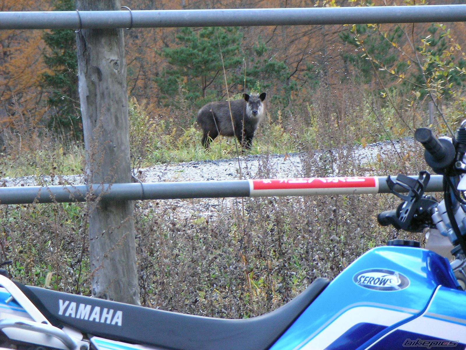 Photo 465017
