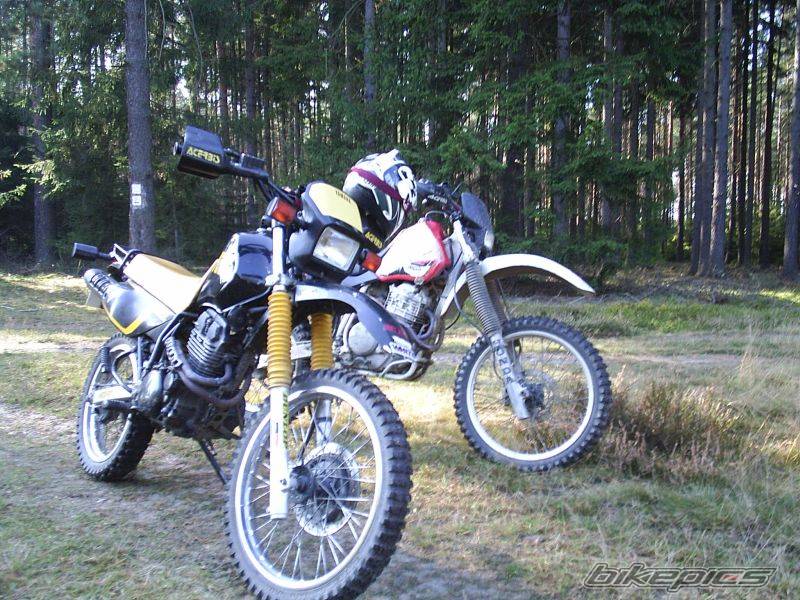 Photo 465343