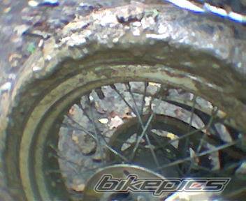 Photo 465361