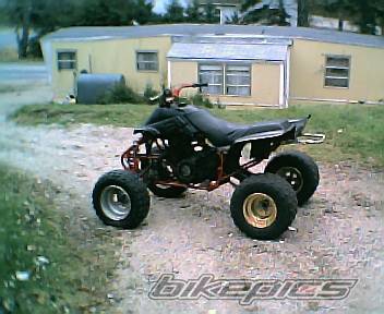 Photo 465528