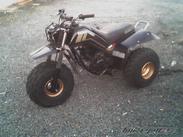 Photo 465635