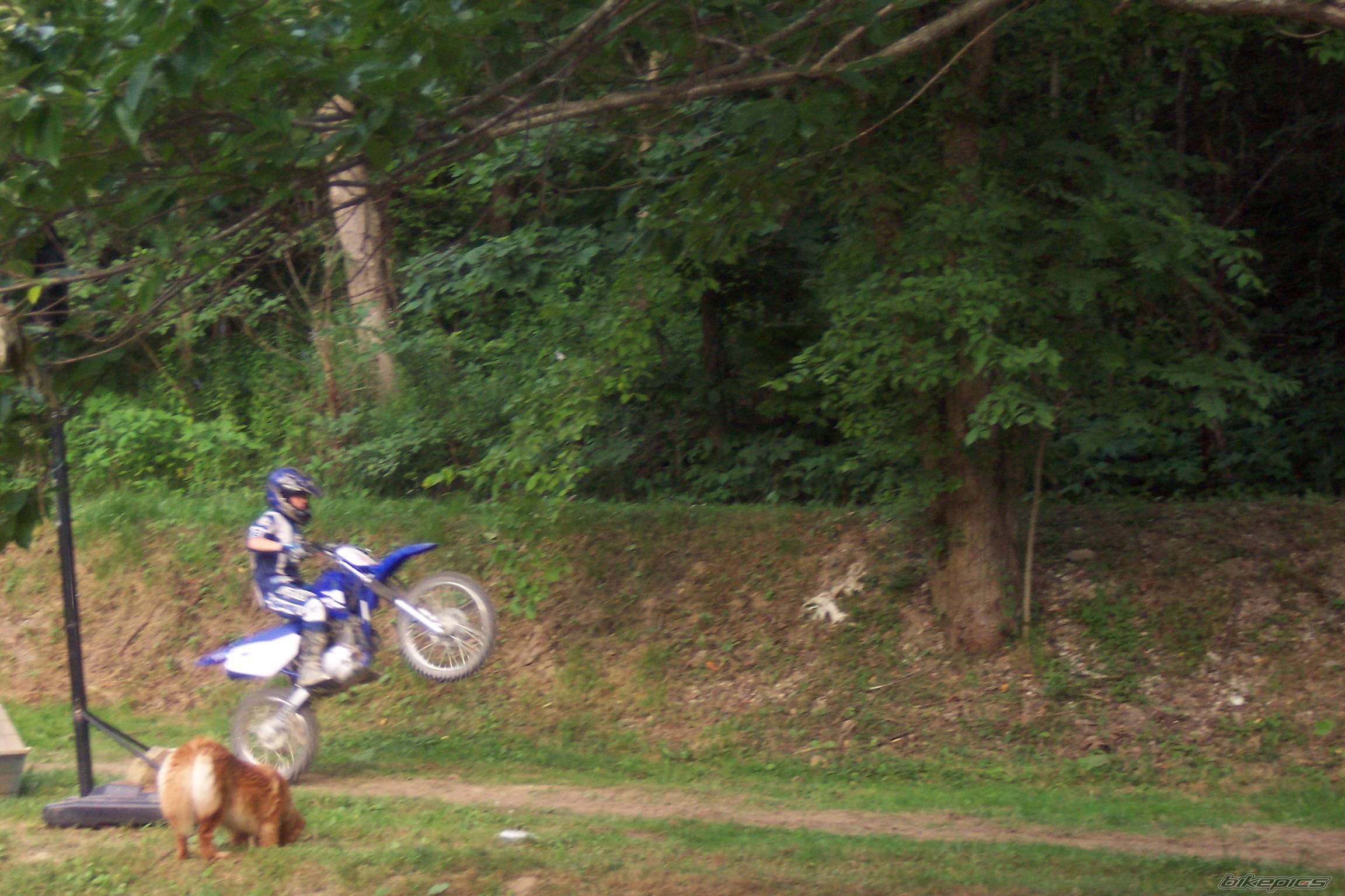 Photo 465675