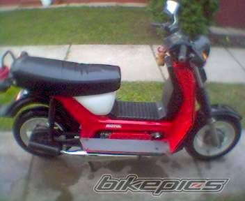 Photo 465858