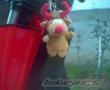 Photo 465860