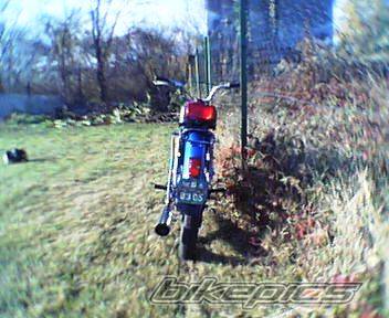 Photo 465961