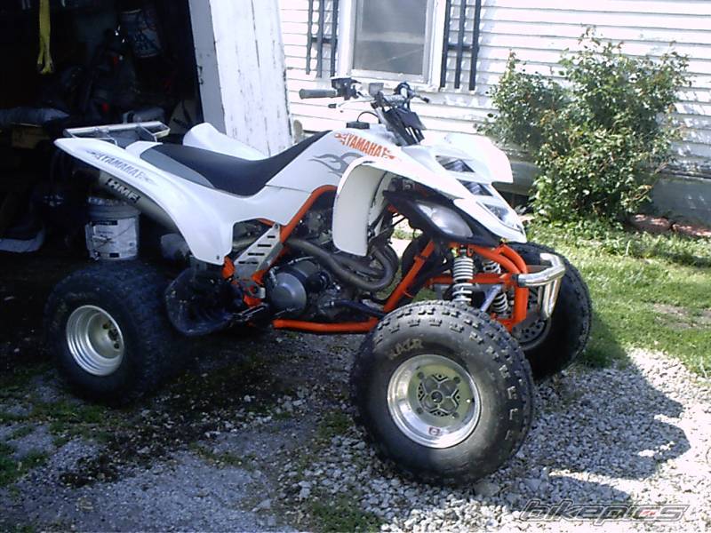 Photo 46597