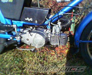 Photo 465979