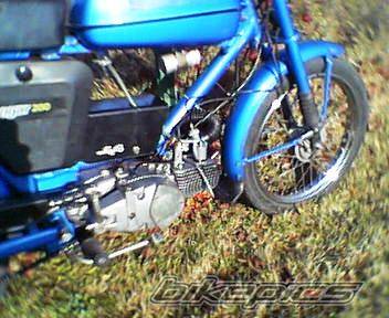 Photo 465996