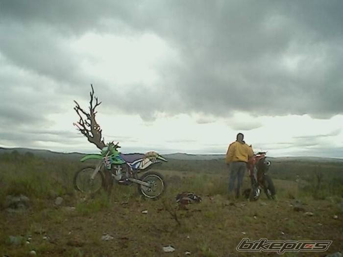 Photo 466201