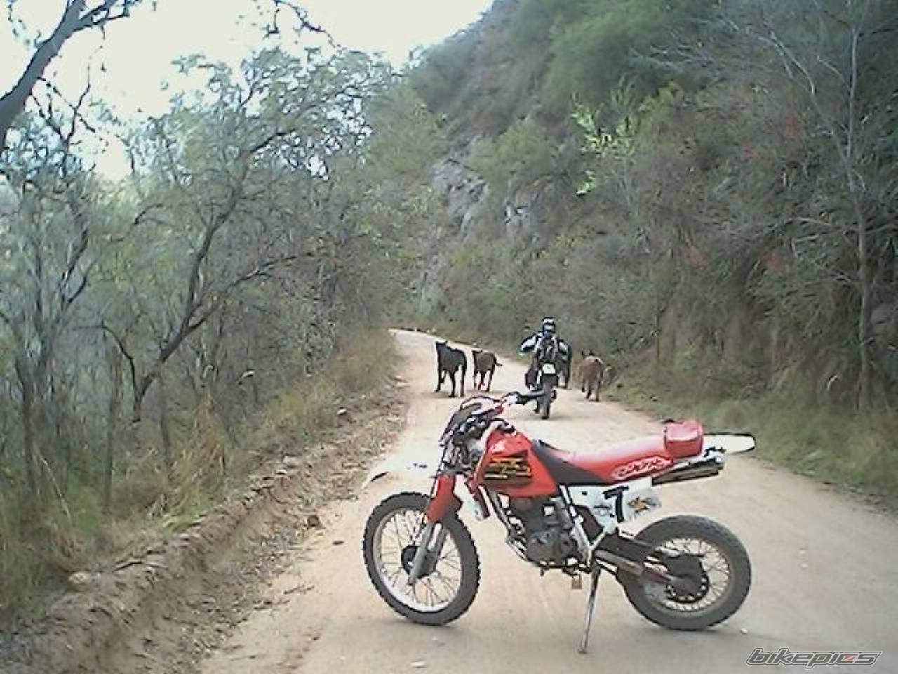 Bike Photo 466217