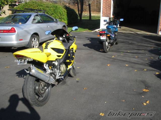 Photo 466344
