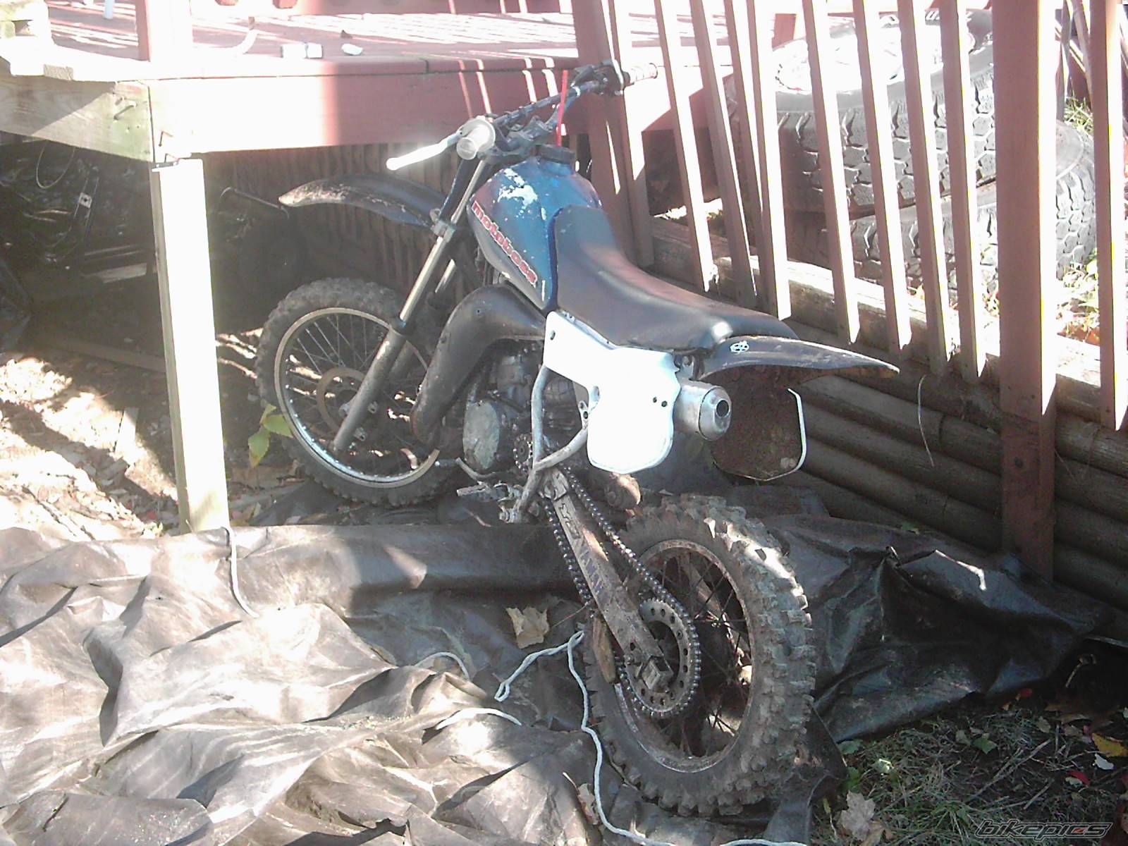 Bike Photo 466367
