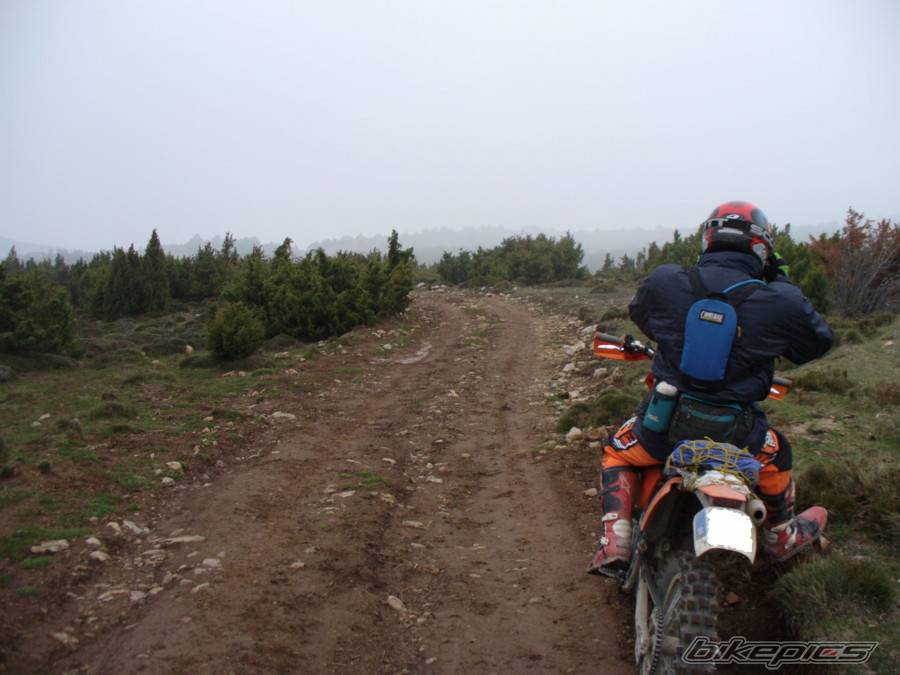 Photo 466451