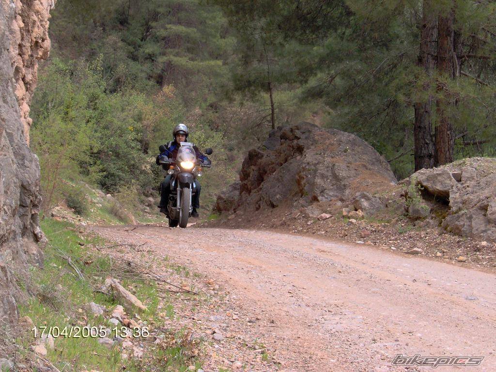 Bike Photo 466525