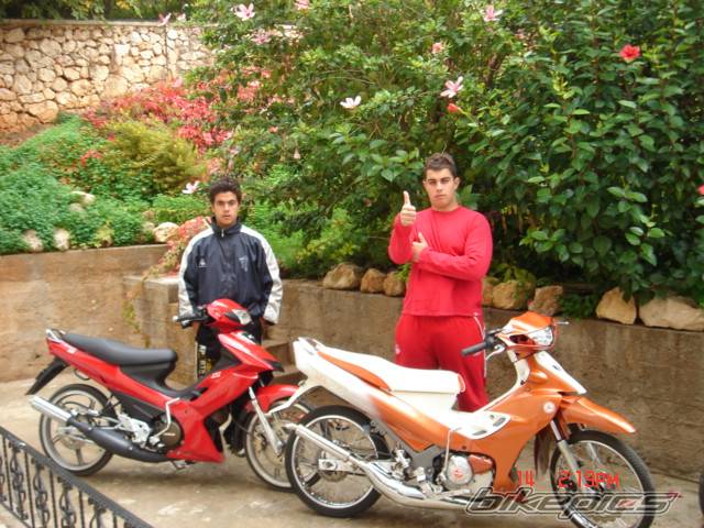 Photo 466533