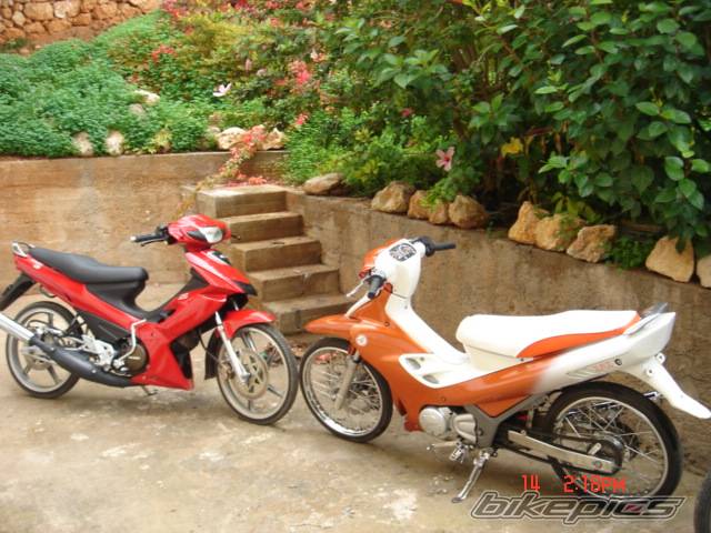 Photo 466537