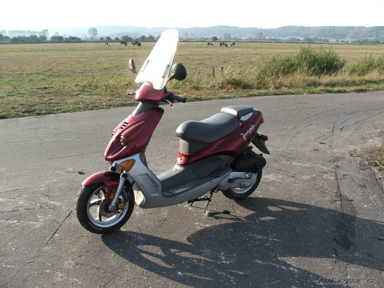 Bike Photo 466566