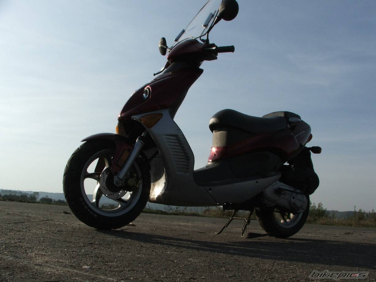 Photo 466582