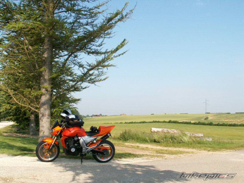 Photo 466682