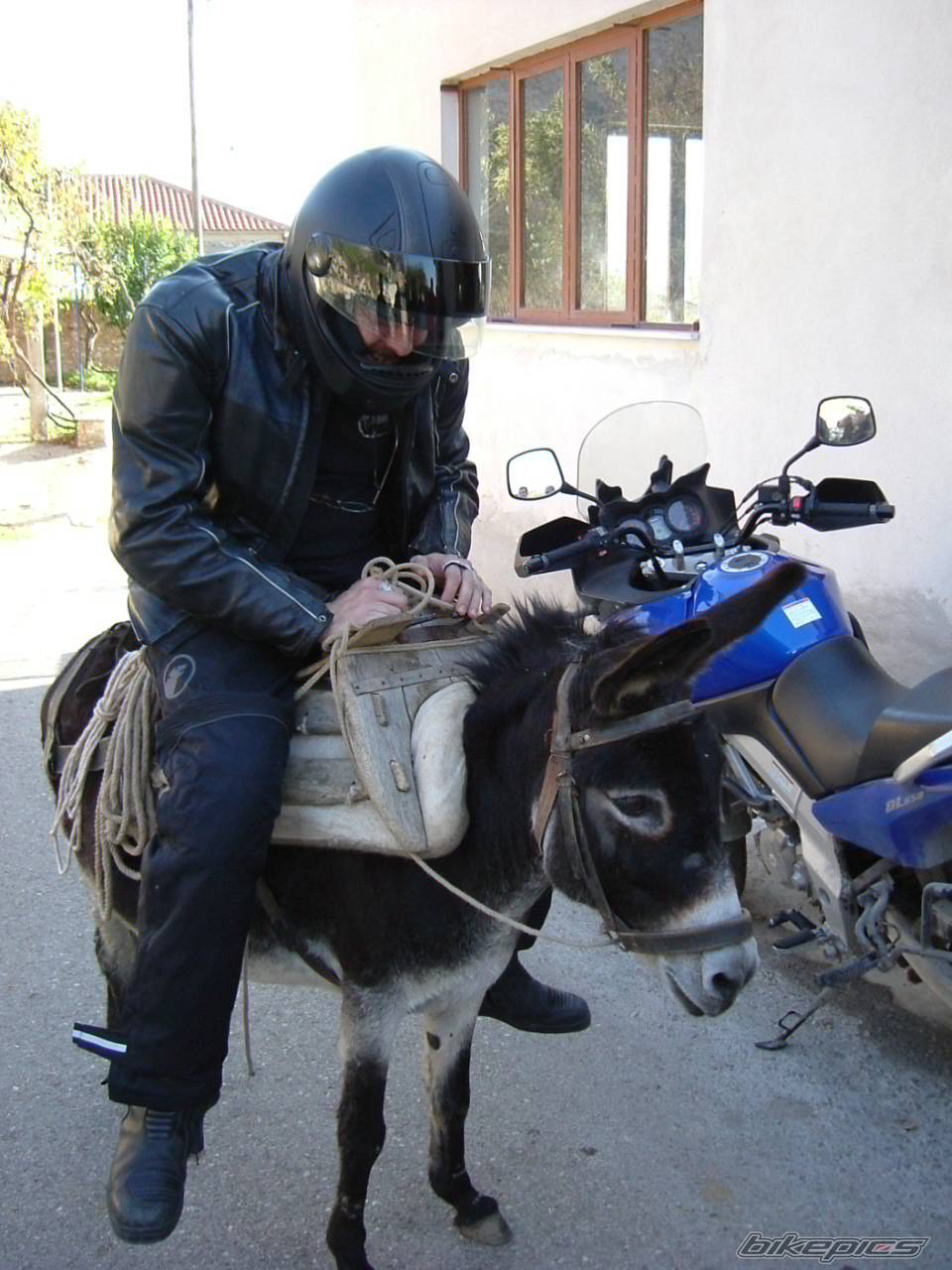 Bike Photo 466706