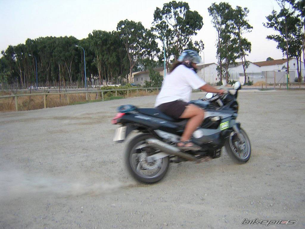 Photo 466888