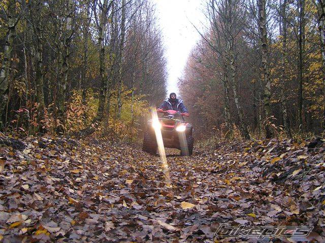 Photo 466985