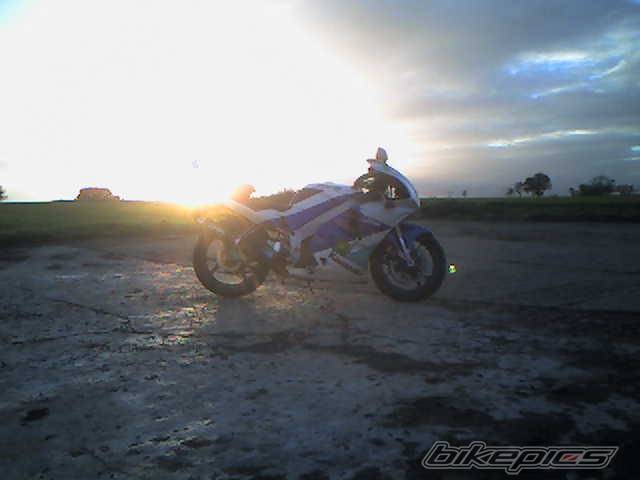 Photo 467343