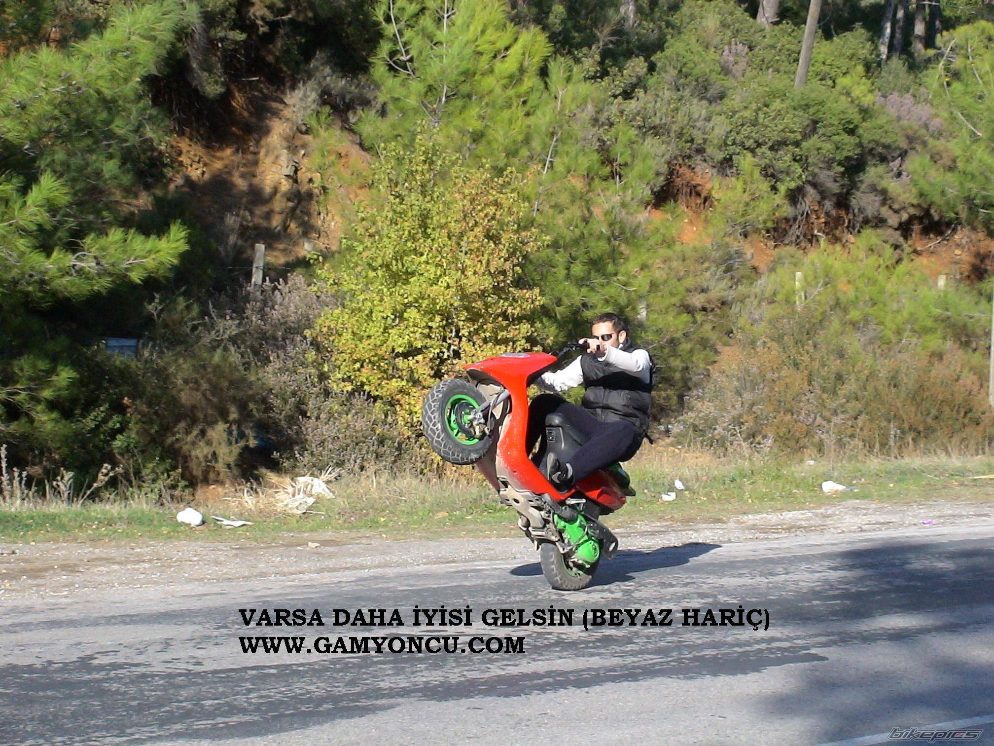 Photo 467385