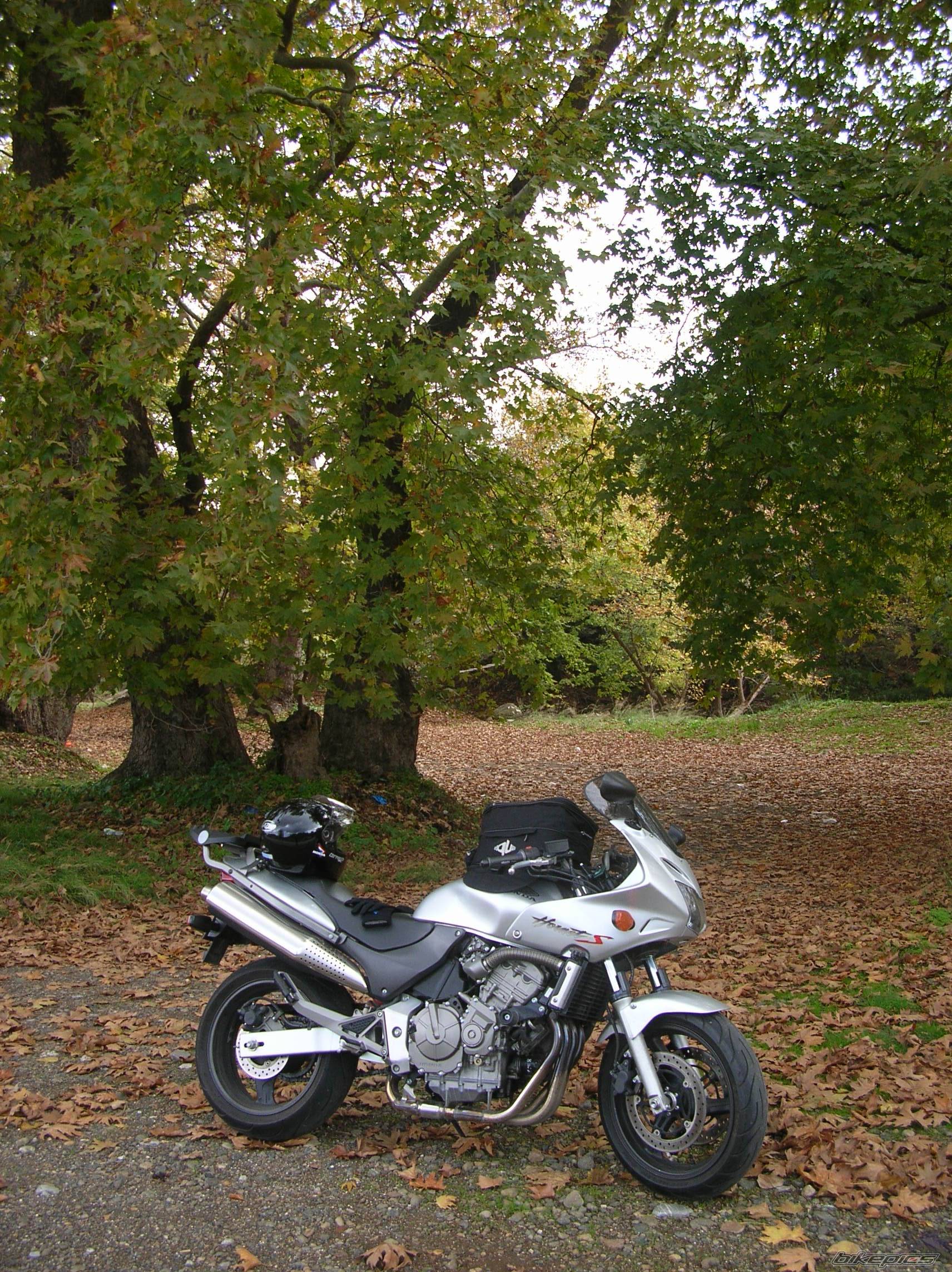 Photo 467392