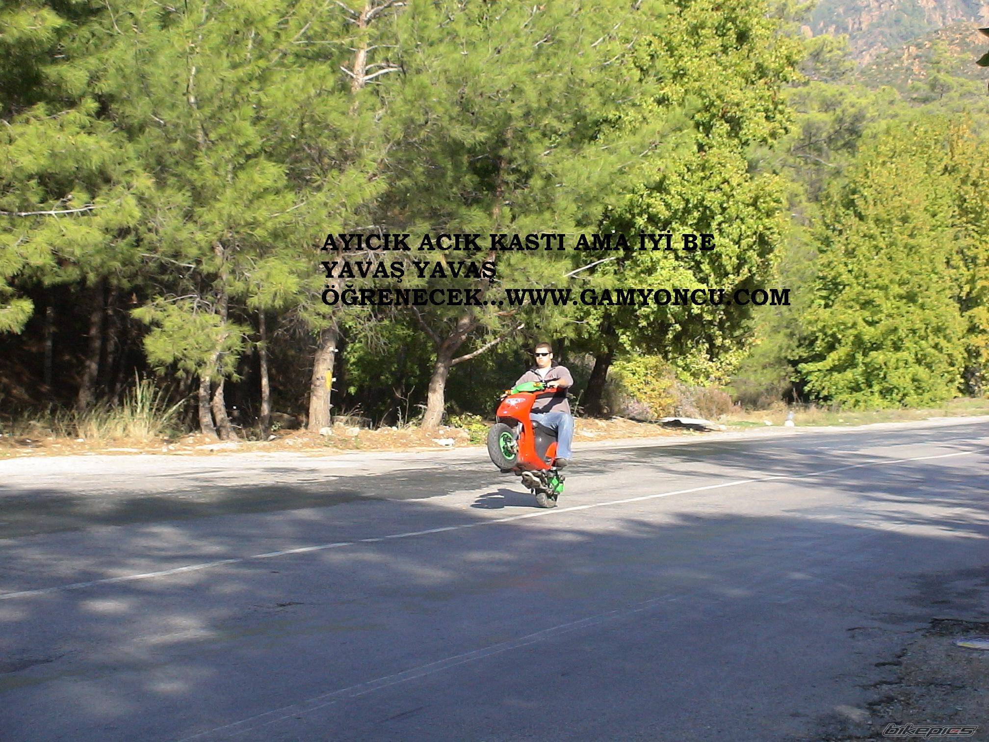 Bike Photo 467471