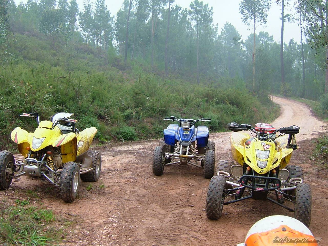 Photo 467477