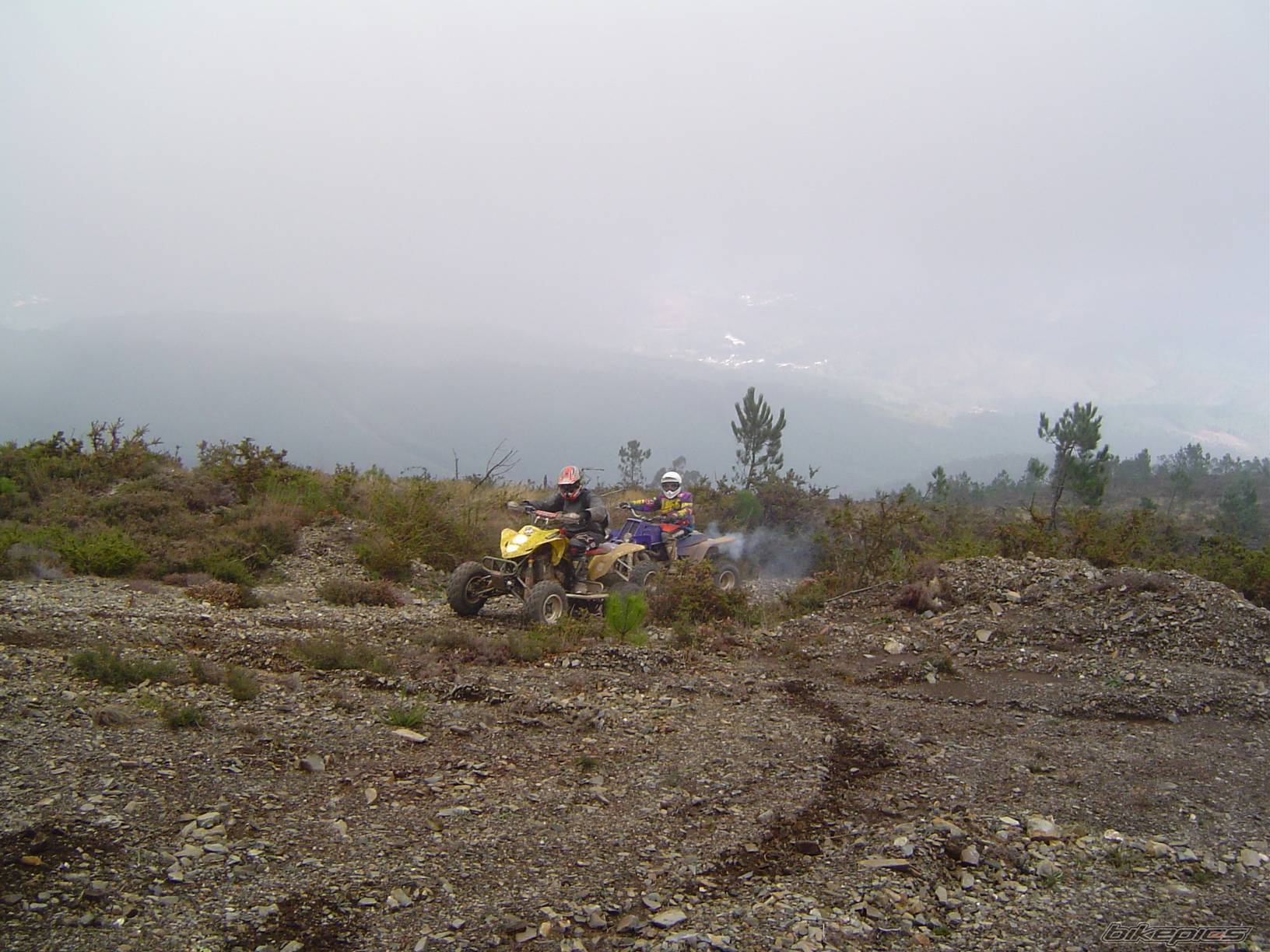 Photo 467501