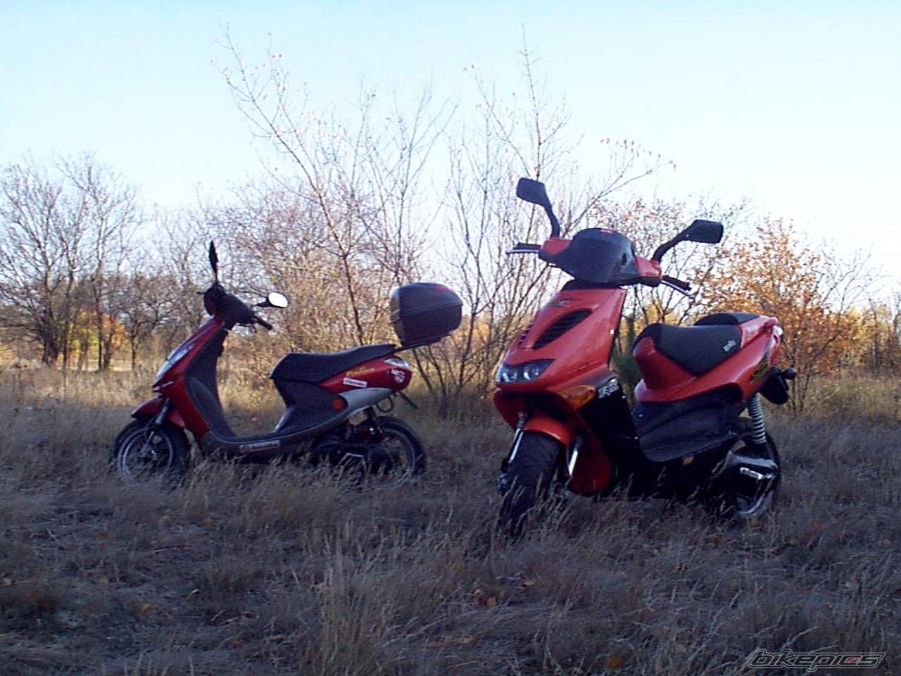 Photo 467529